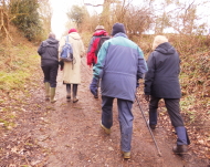 The Walking Group near Corsley